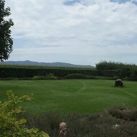 Gaestehaus Vinetum Locanda *